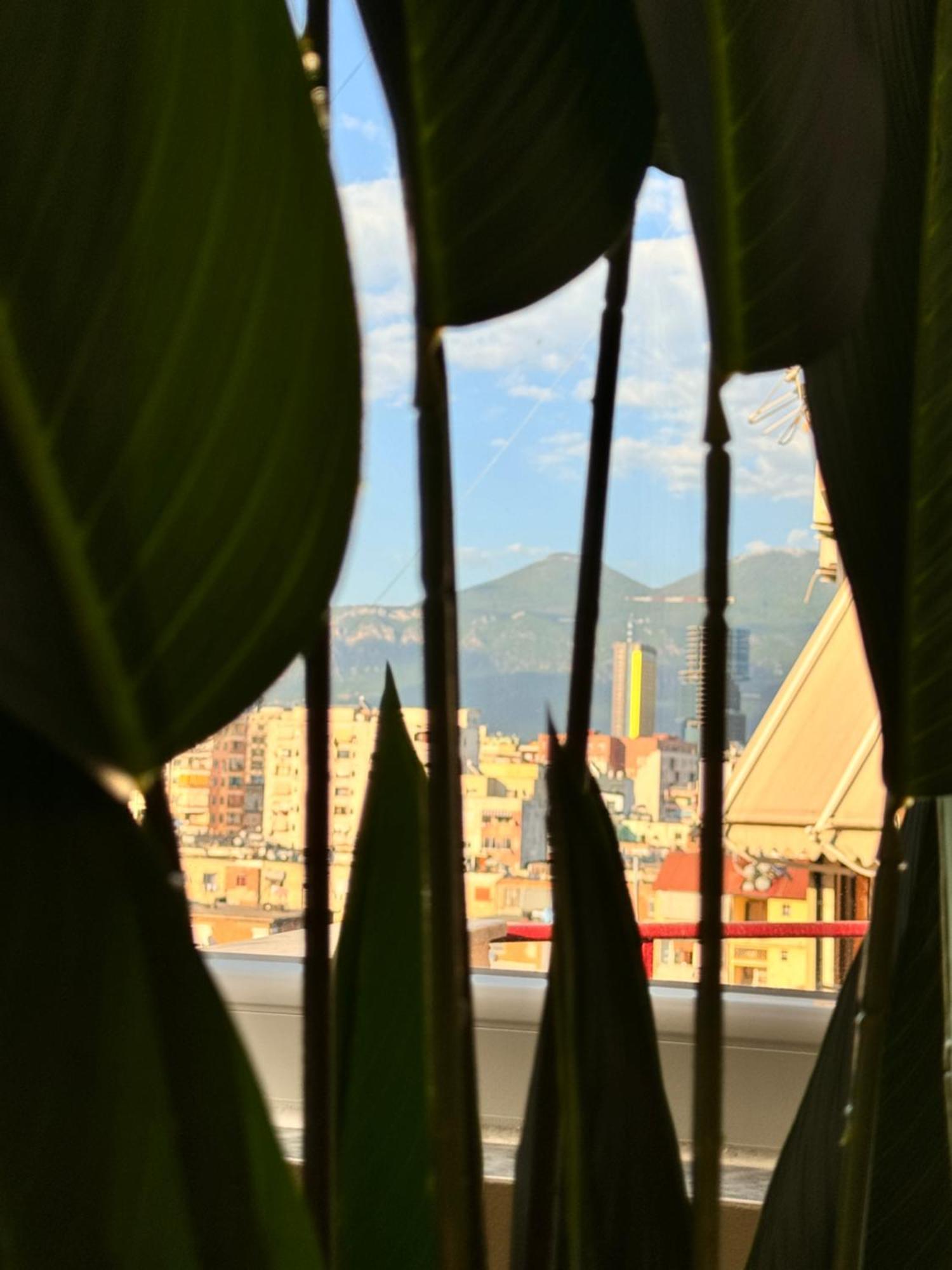 Appartement Solea